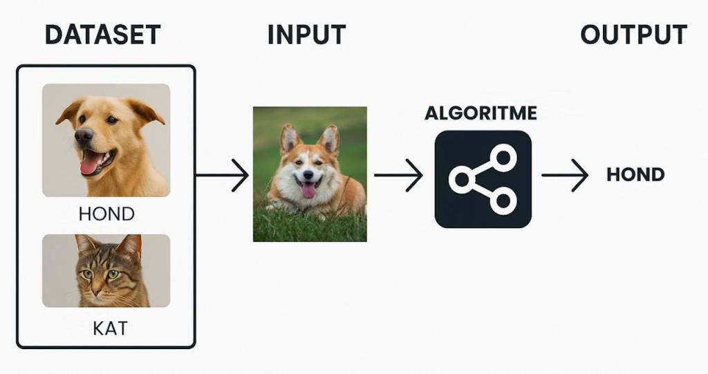 Illustratie van een dataset met honden en katten, een invoerfoto en een algoritme dat de juiste output bepaalt