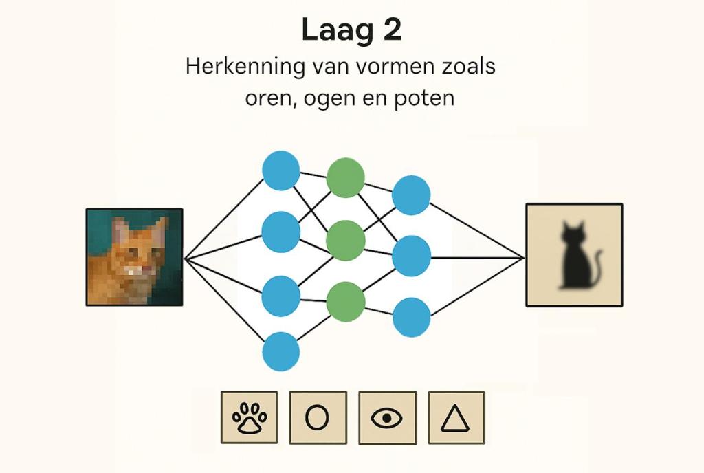 Neuraal netwerk laag 2 die oren, ogen en poten van een kat herkent